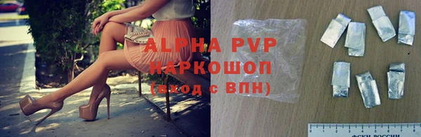 гидра Алексин