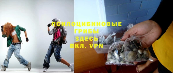 гидра Алексин