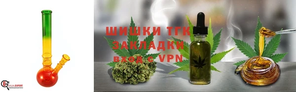 гидра Алексин