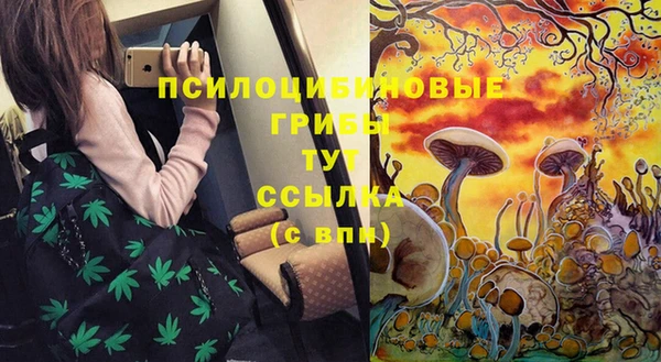 ПСИЛОЦИБИНОВЫЕ ГРИБЫ Алексеевка