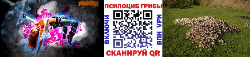 Галлюциногенные грибы Psilocybine cubensis  Бокситогорск 